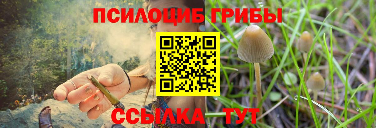 Псилоцибиновые грибы MAGIC MUSHROOMS  Вход с VPN  Знаменск 